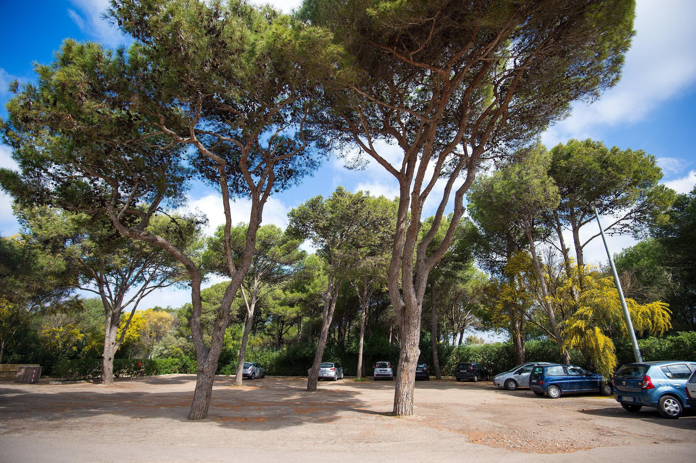 Ecoresort Le Sirene - Caroli Hotels Gallipoli Zewnętrze zdjęcie